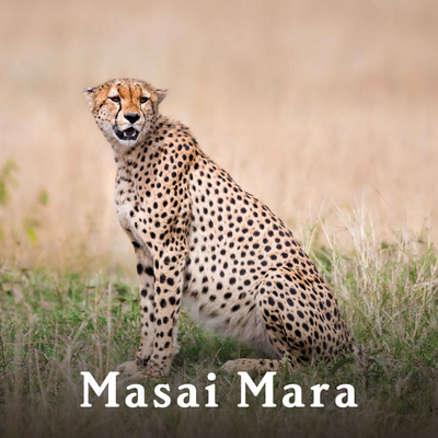 Masai-Mara-1.png