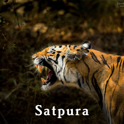 Satpura-1.png