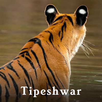 Tipeshwar-1.png